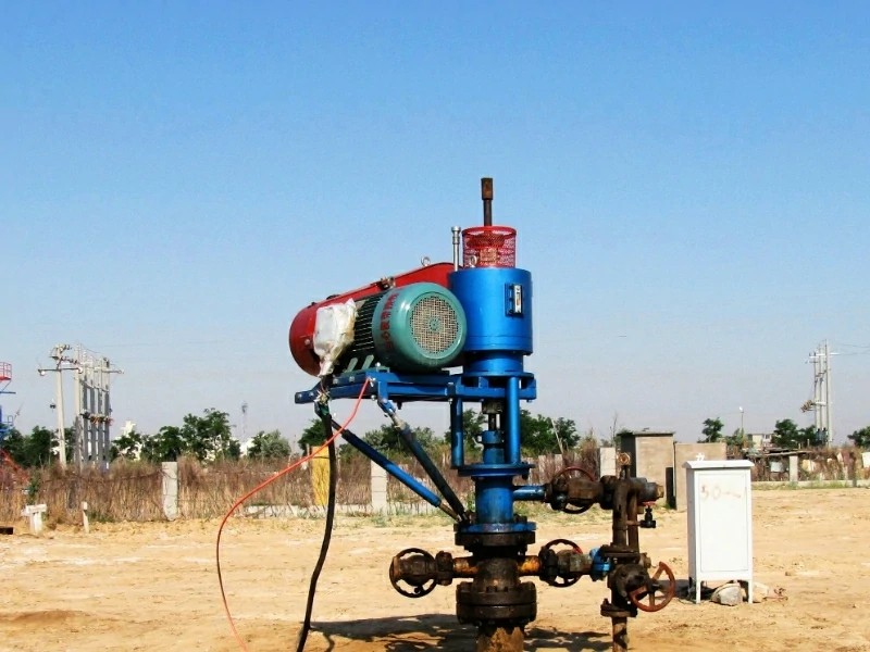 地面驱动螺杆泵